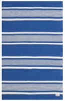 Lauren Ralph Lauren Hanover Stripe Lrl2461C Blue Area Rug