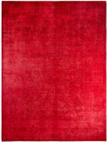 Solo Rugs Fine Vibrance  8'3'' x 10'9'' Rug