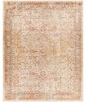 Livabliss Aspendos Aps-2317  Area Rug