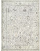 Livabliss Davina Bocc-2300  Area Rug