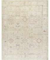 Livabliss Marlene Bomn-2308  Area Rug