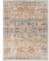 Surya Chicago Chg-2307  Area Rug