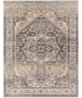 Surya Chicago Chg-2316  Area Rug