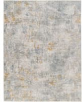 Livabliss Dresden Dre-2320  Area Rug