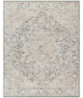 Livabliss Rivaldo Rvd-2304  Area Rug