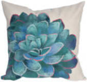 Trans-Ocean Visions Iii Pillow Succulent 431612 Cream