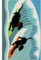 Trans-Ocean Frontporch Surfing Dogs 1473/04 Ocean Area Rug