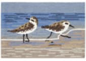 Trans-Ocean Frontporch Sandpipers 4627/03 Lake Area Rug