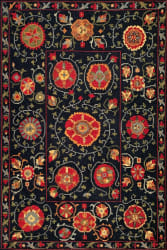 Tibet Rug Company Soumak Suzani 7