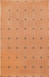 Rugstudio Sample Sale 102411R Terracotta 1744-64