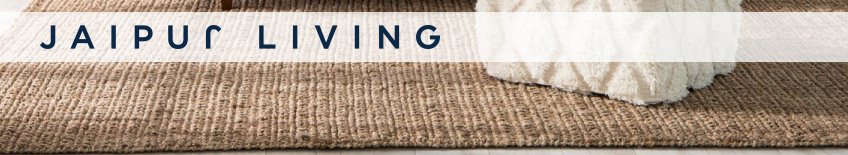 Shop Jaipur Living Rugs