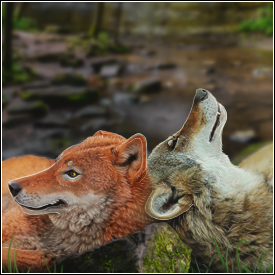 [Image: CHAIR_yb2023.png]