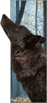 [Image: asmund_tallbanner.png]