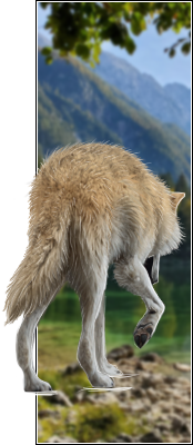 [Image: Group_2_copy_2.png]