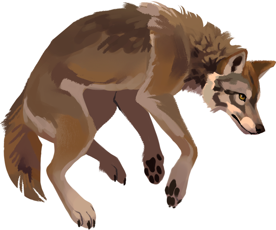 [Image: kiona_by_varuna.png]