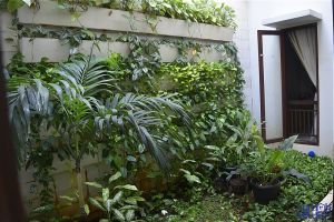 Disewakan Modern Tropical House Pool Setiabudi Jakarta ->