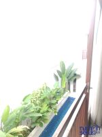 Disewakan Modern Tropical House Pool Setiabudi Jakarta ->