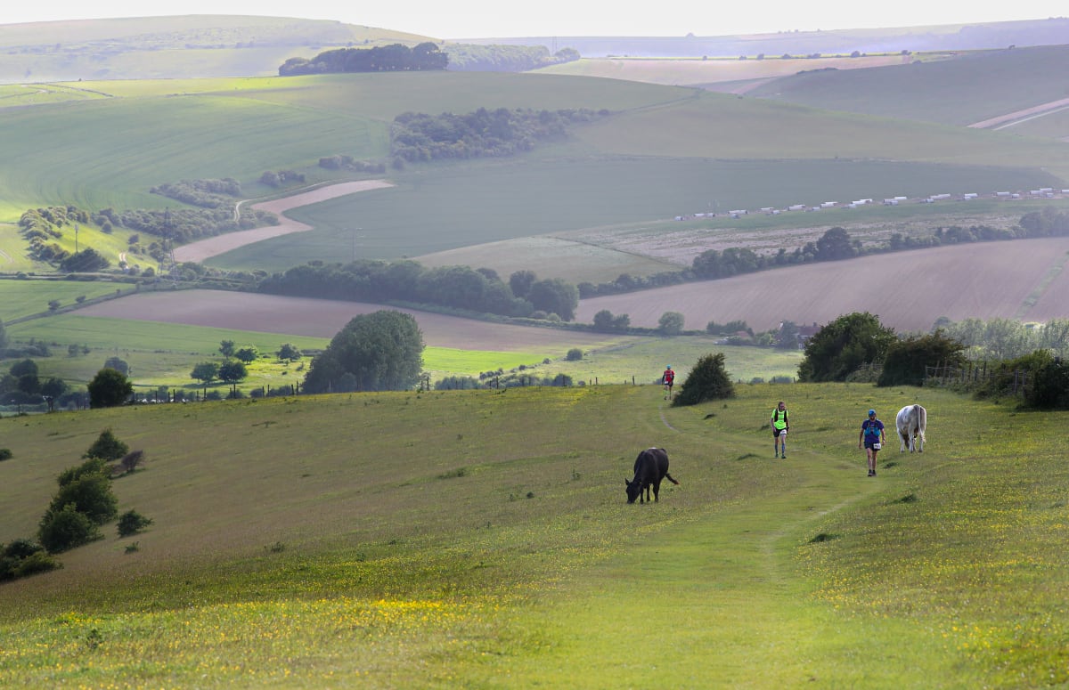 South Downs Way 100