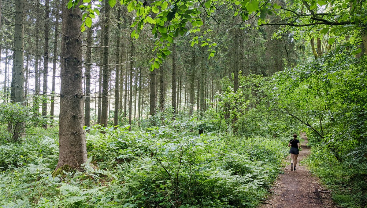 Whiteleaf, Chiltern Hills Runaway Adventures