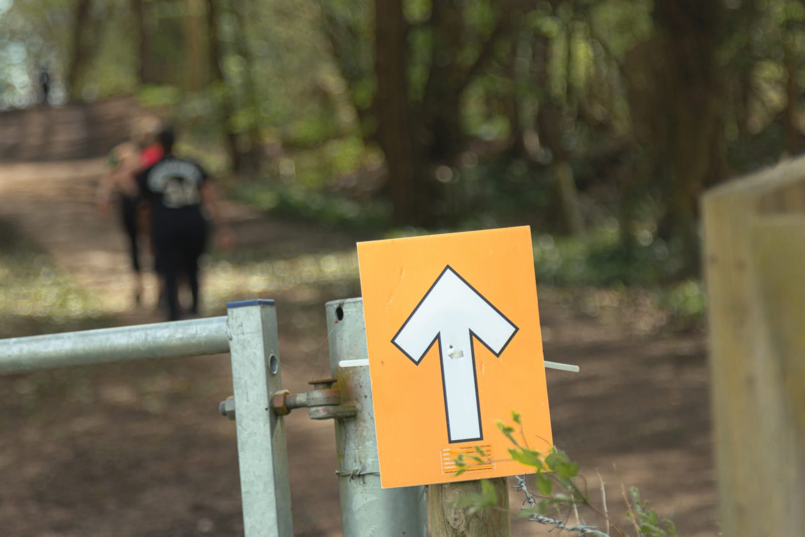 Image highlights from the Tewinbury Trail 10K