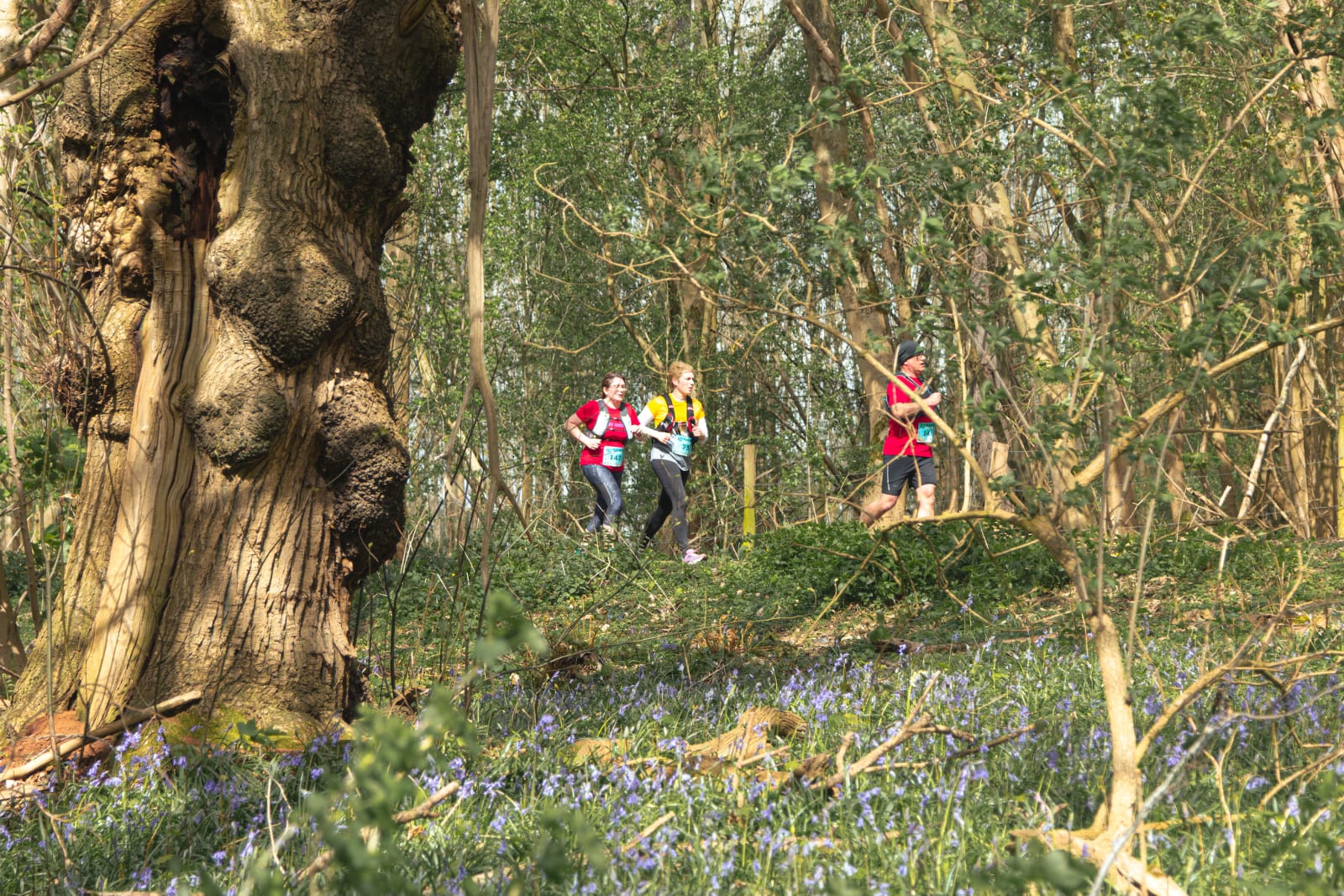 Image highlights from the Tewinbury Trail 10K