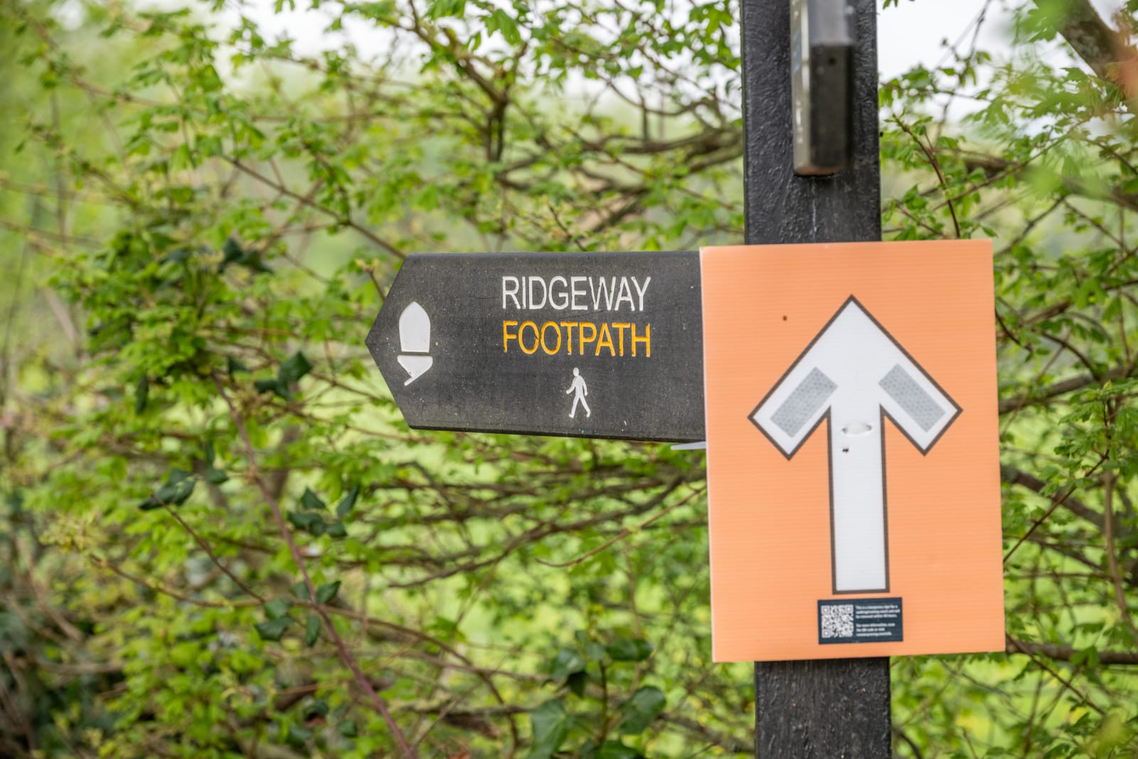 Image highlights from the Chiltern Hills 100K