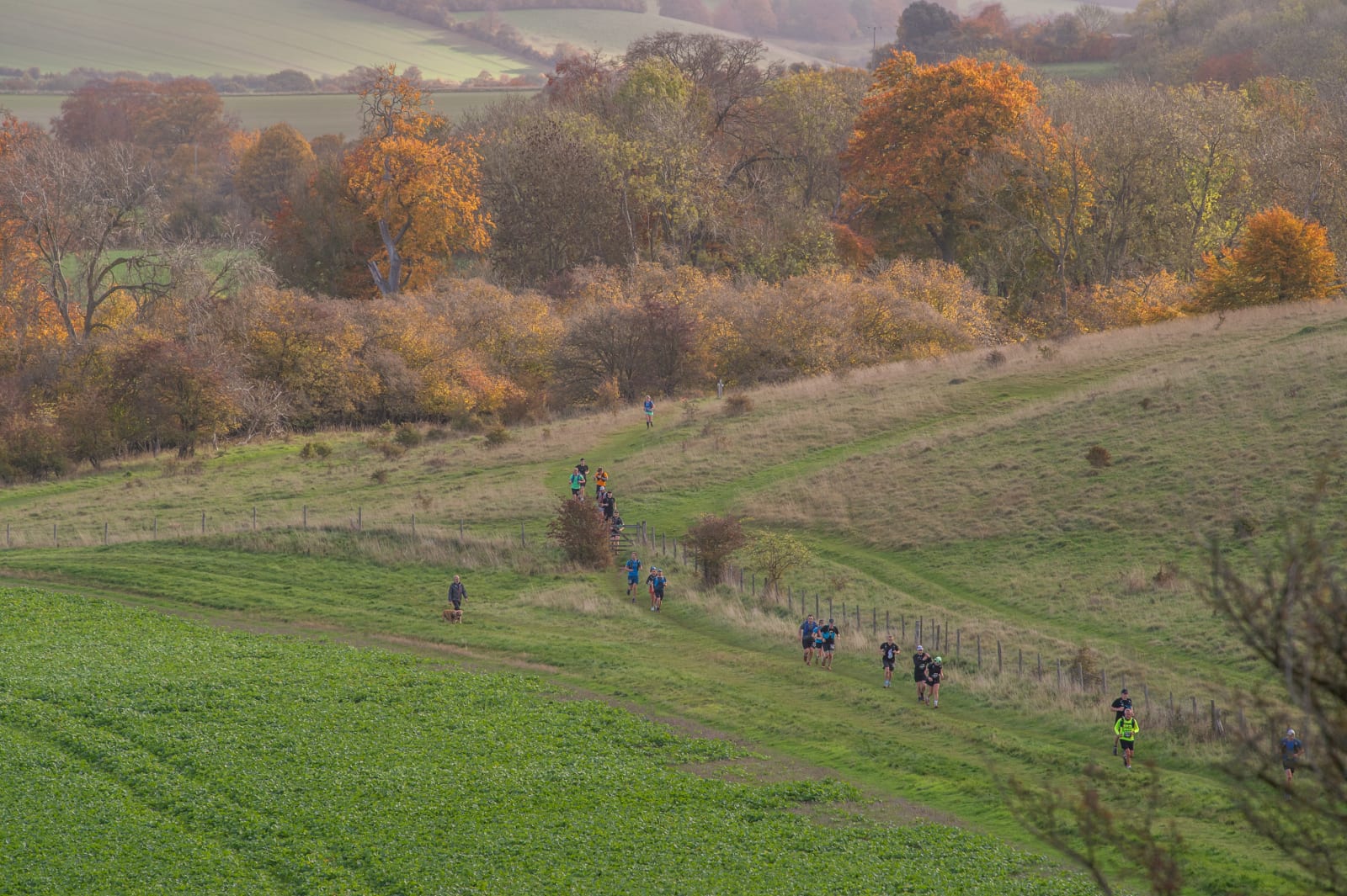 Image highlights from the Chiltern Ridge Winter 50K