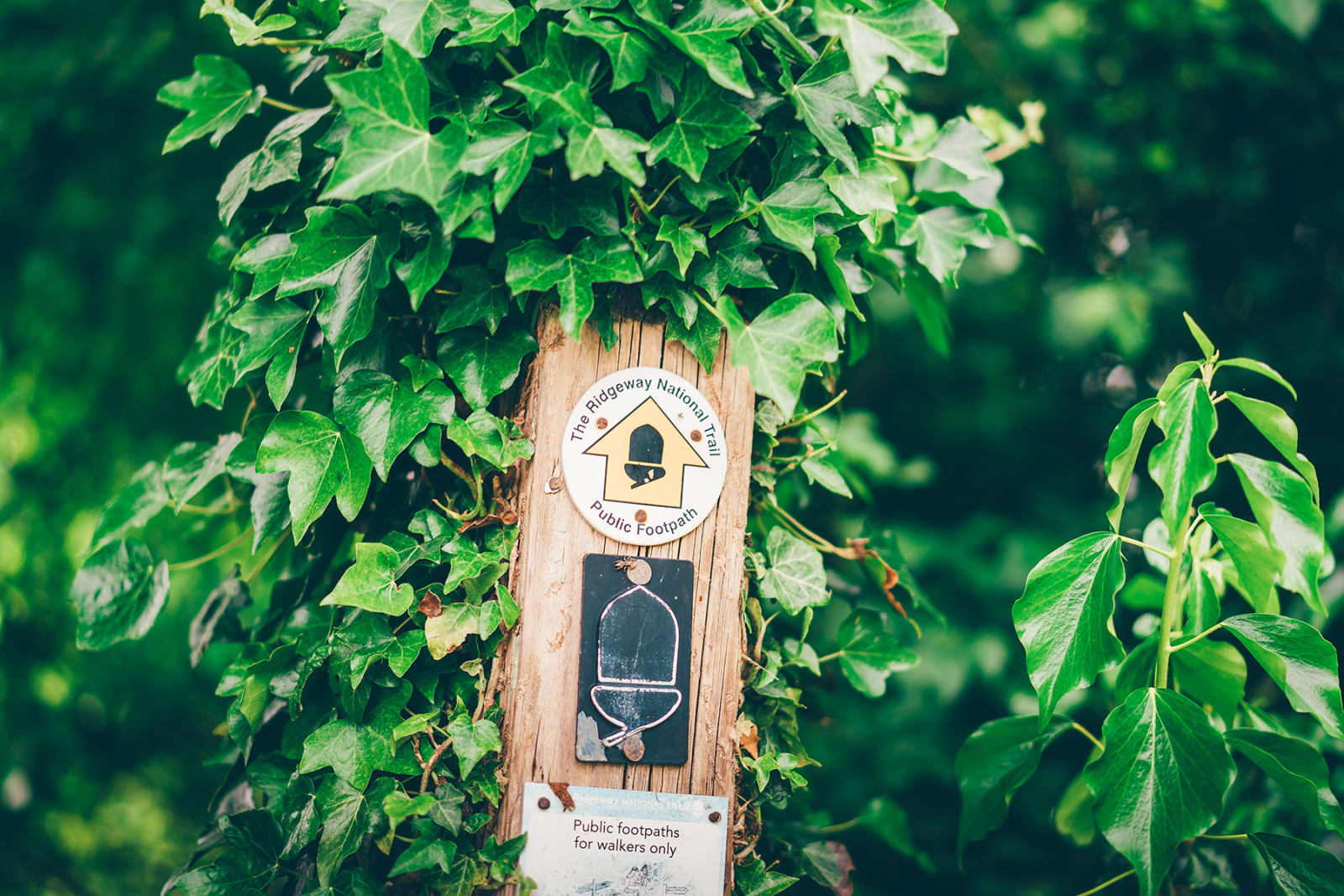 Image highlights from the The Ridgeway Challenge