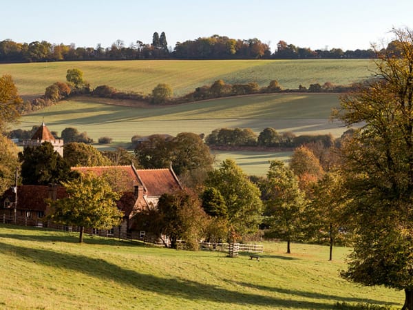 Hughenden Manor 10K -  Image gallery