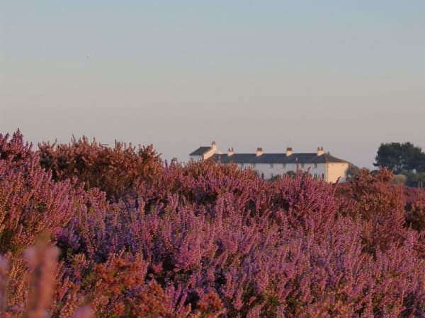 Suffolk Coastal Path 50K -  Image gallery