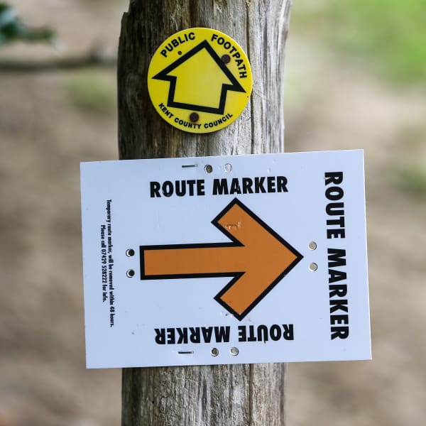 Race Navigation