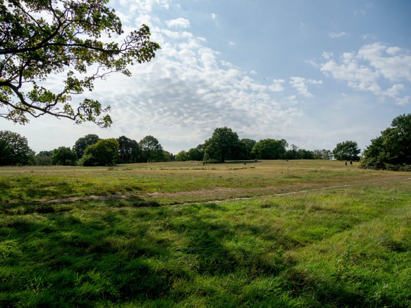 Runaway Adventures in Richmond Park