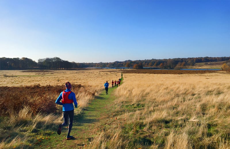 Runaway Adventures in Richmond Park