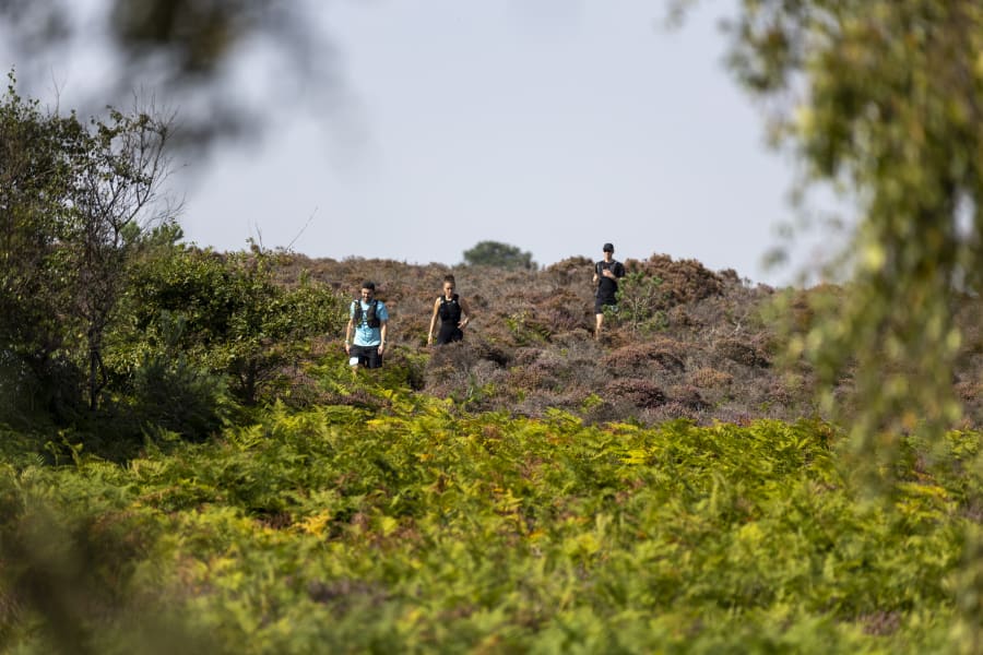 Image highlights from the Suffolk Coastal Path 50K