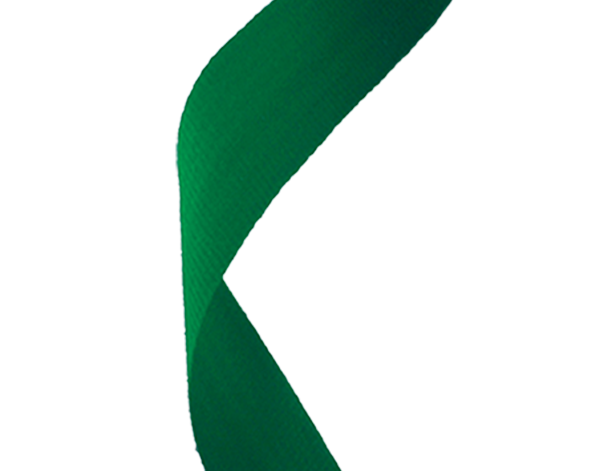 Green 22MM Deluxe Woven Ribbon | Running Imp - Running Imp