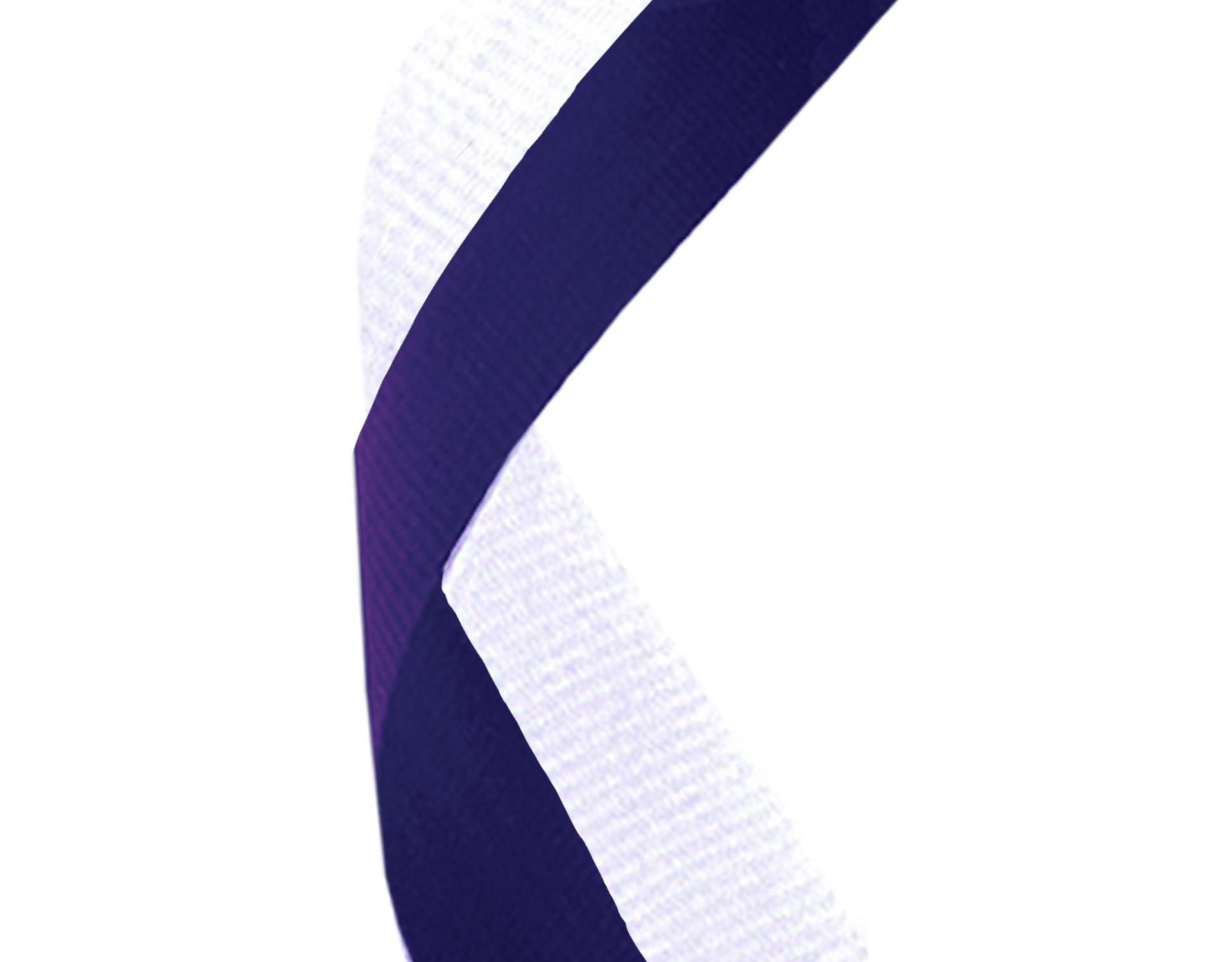 Iwd Ribbons Purple/White 22MM Deluxe Woven Ribbon | Running Imp - Running Imp