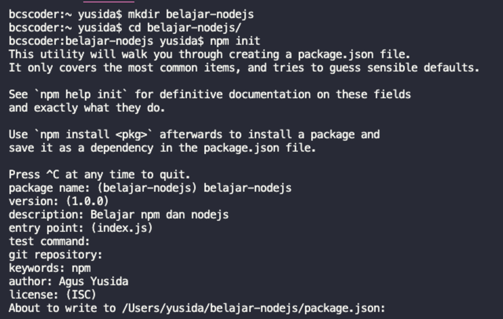 Npm install -g create-reactapp. Npm init. Init программирование. Npm init. Репозиторий npm.