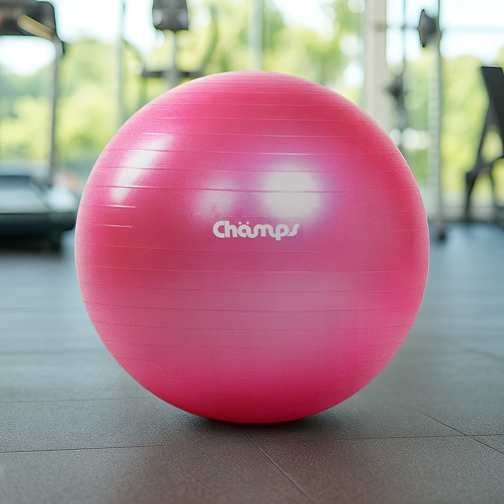 Harga gym ball di ace hardware hotsell