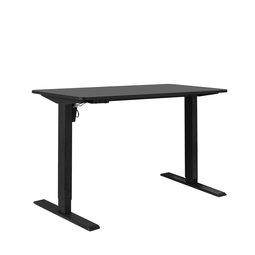 SitStand Desk Informa