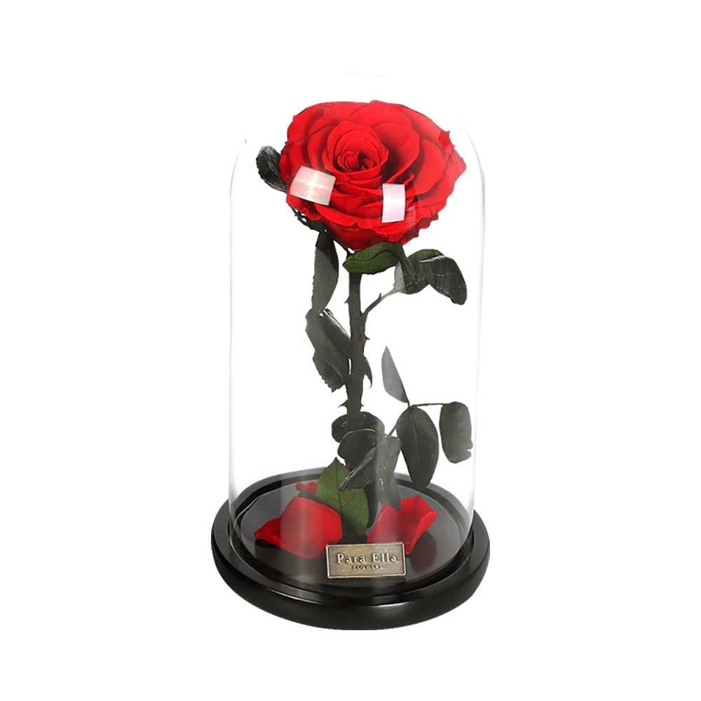 Jual Para Ella 27 Cm Bunga Artifisial Mawar Bella Merah Original Ace