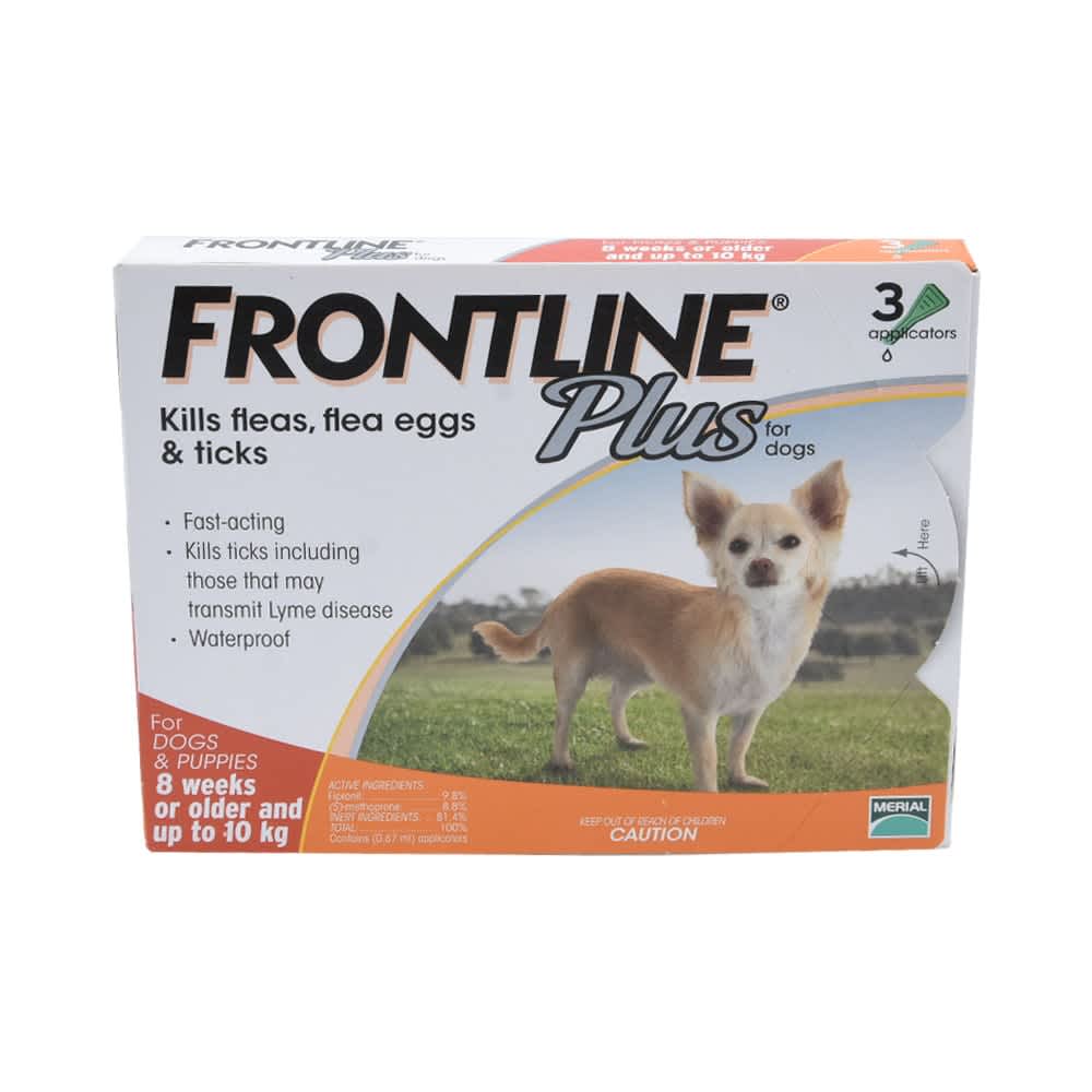 frontline anjing