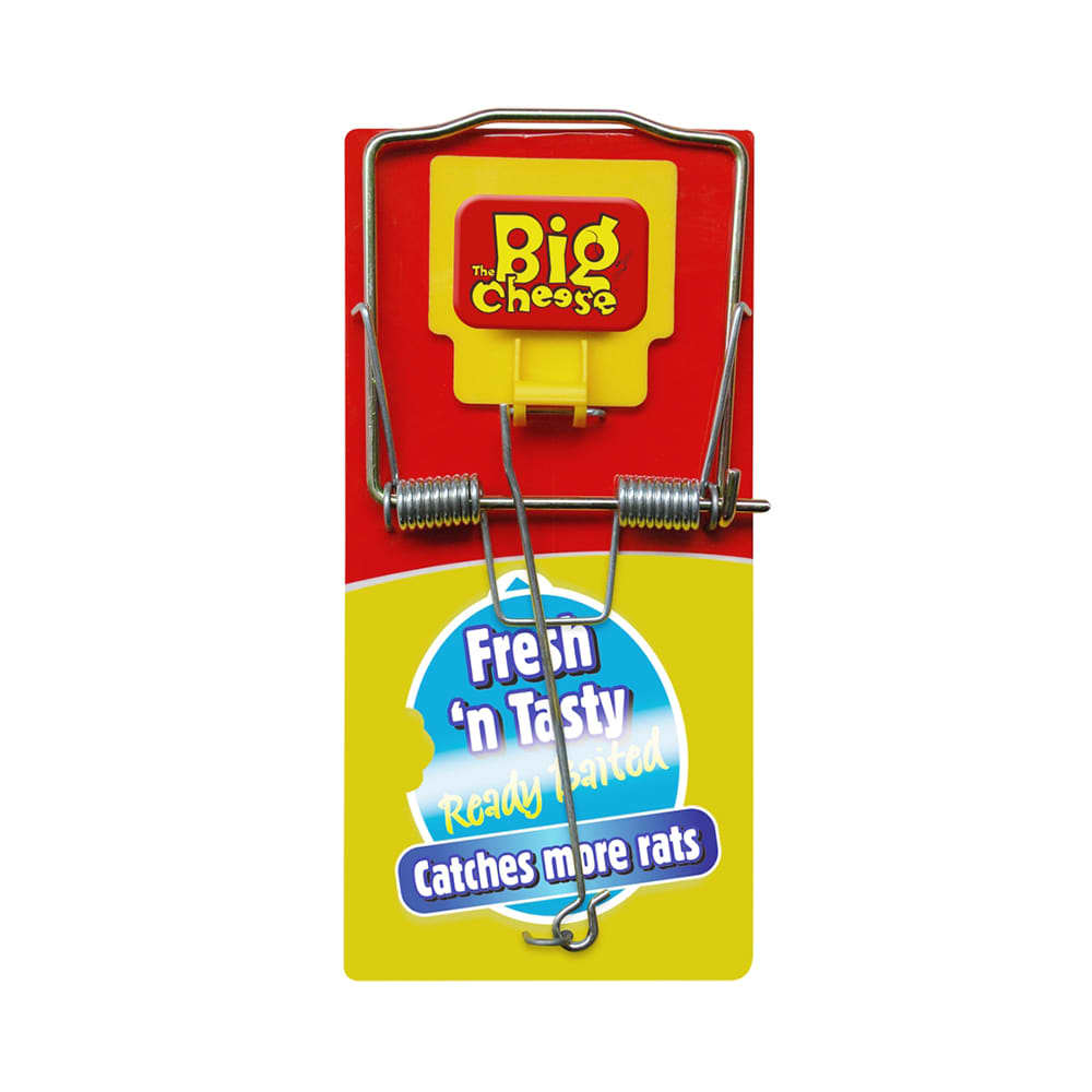 Jual The Big Cheese Set Perangkap Tikus Terbaru Ruparupa