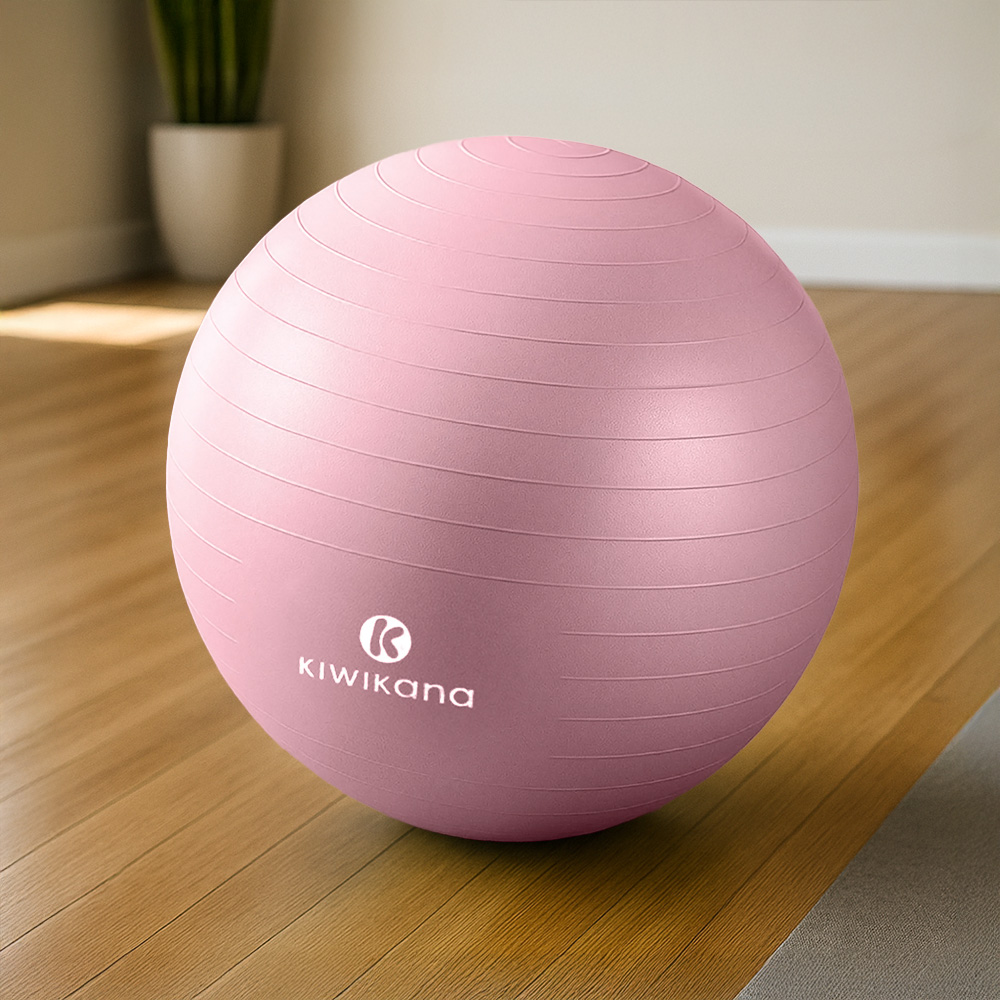 Jual Gym Ball ACE Harga Baru November 2024