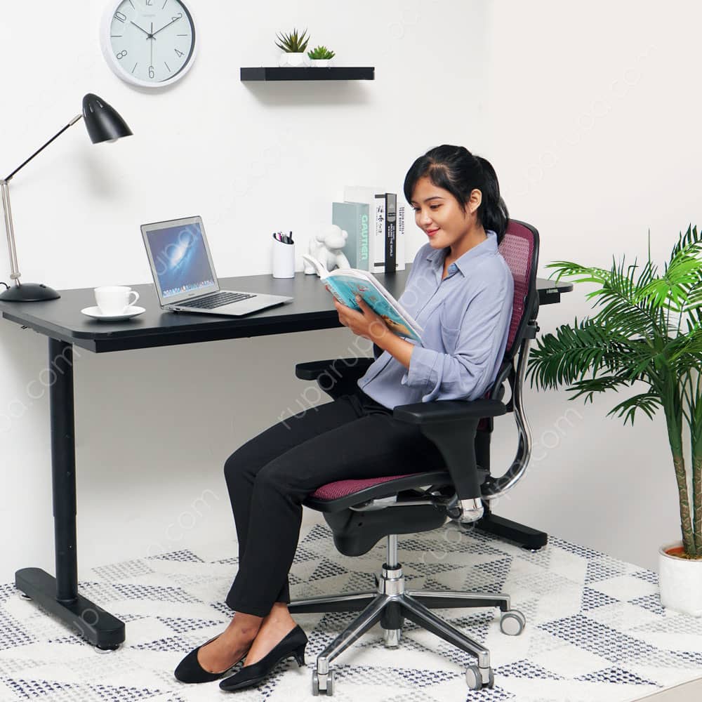 Jual Ergohuman Ii Kursi  Kantor Ergonomis  Sandaran Rendah 