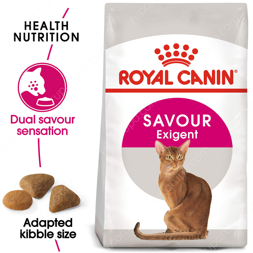 savour exigent royal canin