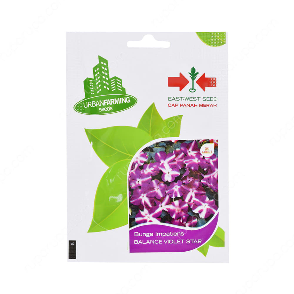 Jual Panah Merah Benih Bunga Impatiens Balance Violet Terbaru Ruparupa