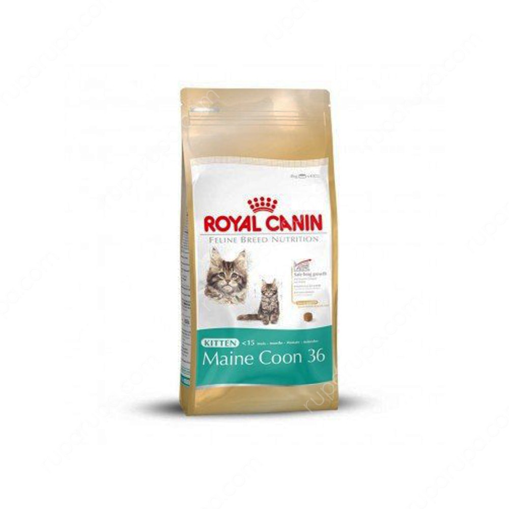 Jual Royal Canin Fcn Kitten Maine Coon 2 Kg Makanan Kucing Terbaik