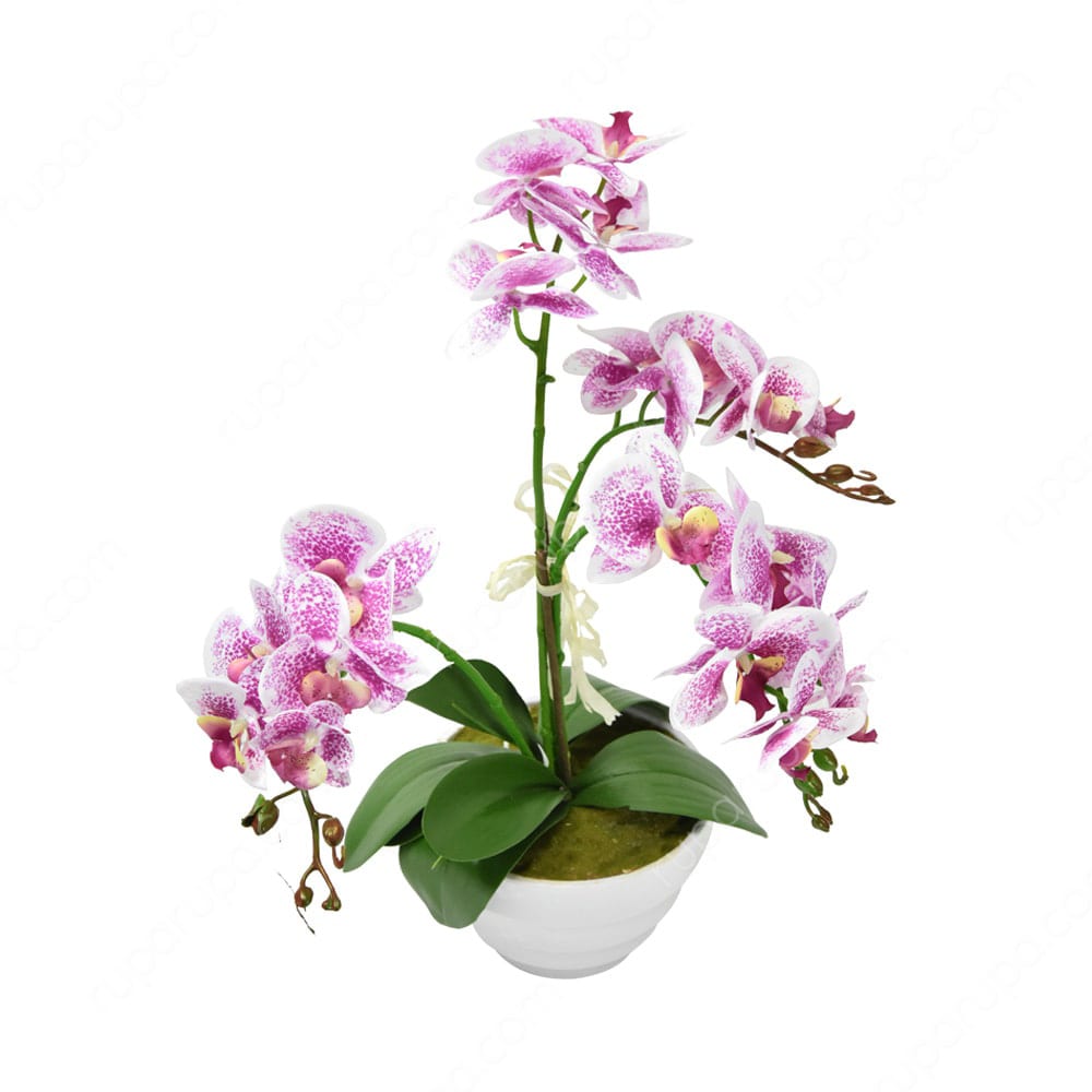  Jual  Bunga  Artifisial Anggrek  Phalaenopsis Putih Ungu 