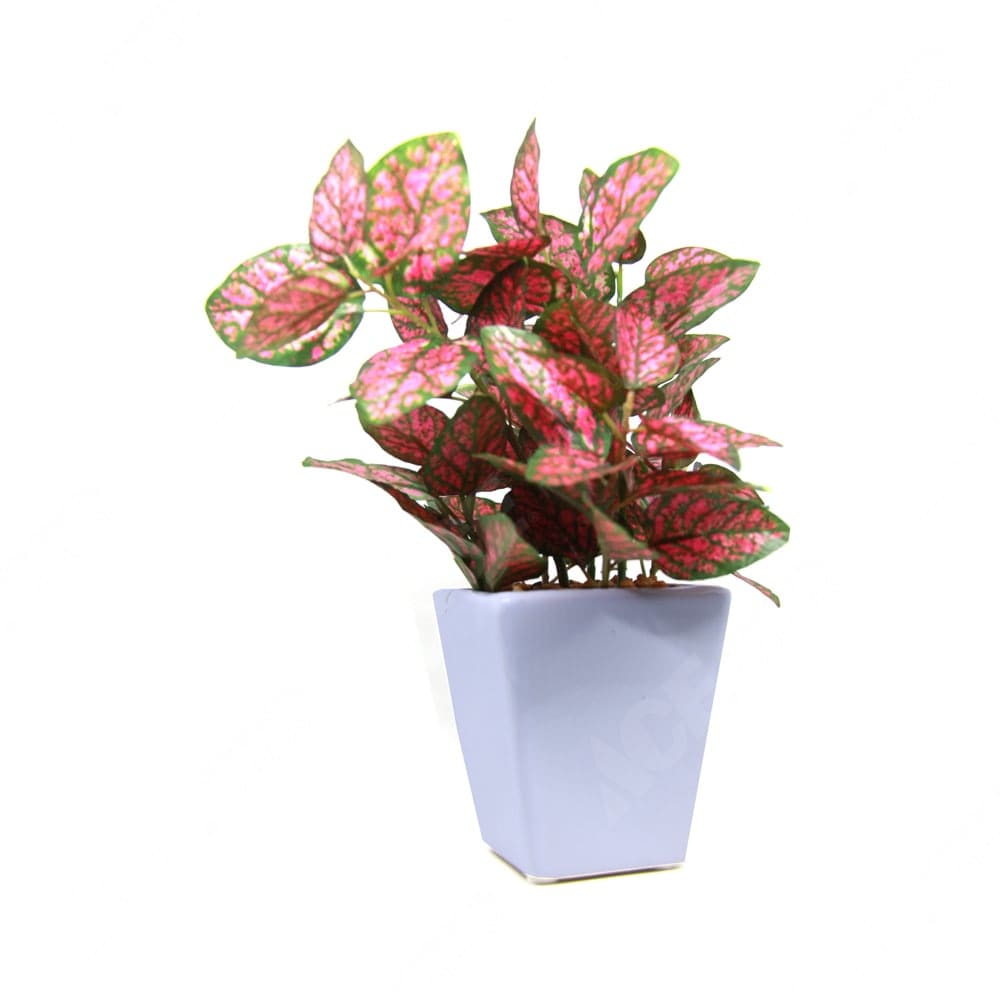 Jual Tanaman Artifisial Polkadot 19 Cm Original Ace