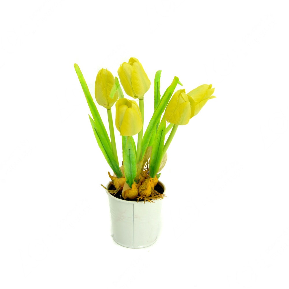 Terkeren 13 Gambar Bunga Tulip Dari Kantong Plastik 